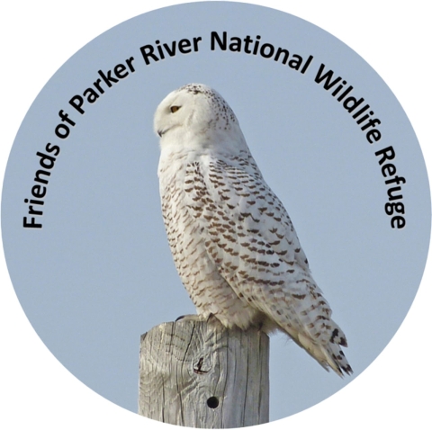 Friends of Parker River NWR Logo