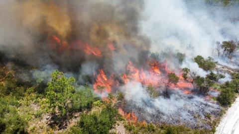 Vegetation engulfed in flames from a fire and smoke