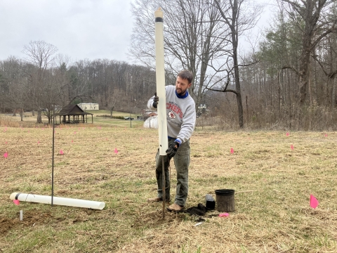 A man places a long white tube over a small tree seedling.