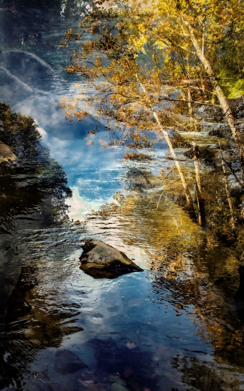 Image by Keith Kozloff