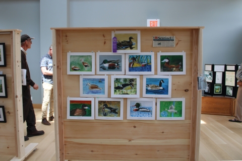 Illustrations of different waterfowl decorate a wooden display case.