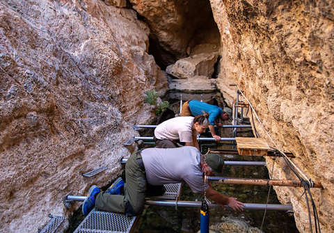 Three scientists on a raised ledge above a deep pond assisting with a fish count