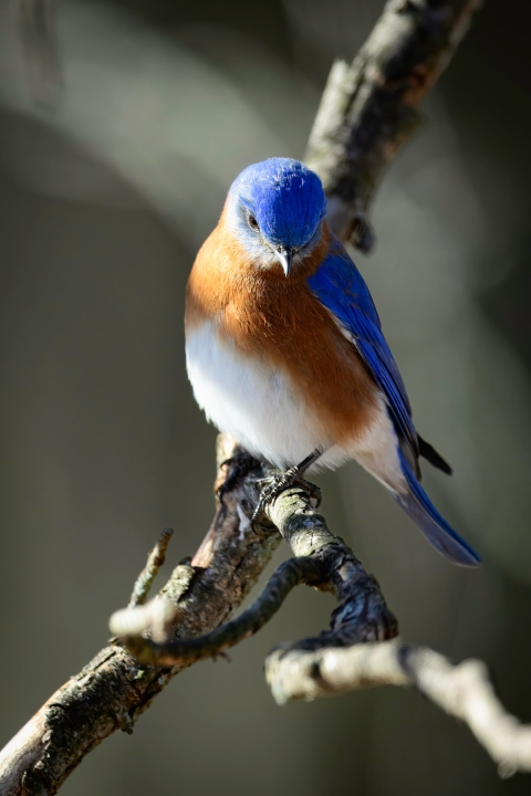Photo by Casey Hall
