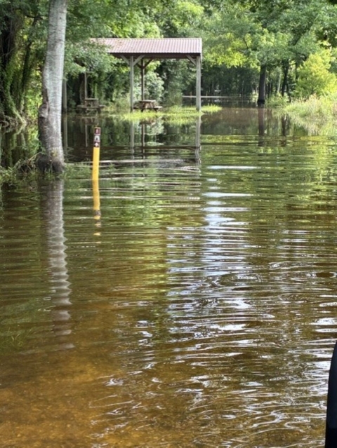 BC High Water 