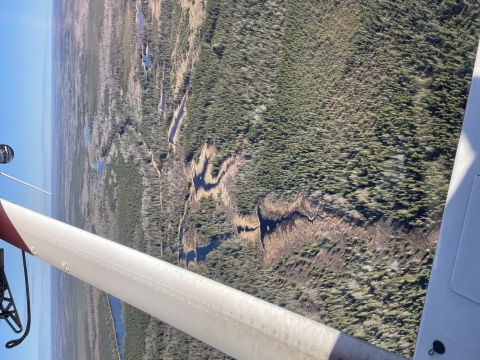 aerial view of bever dams