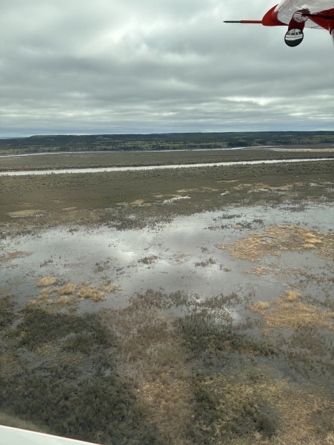 the Peace-Athabasca River Delta