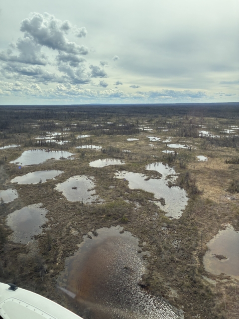 Fens in southern Northwest Territories