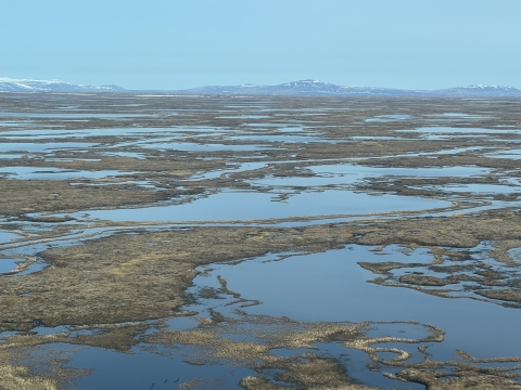 Wetlands of the low-lying Yukon-Kuskokwim River Delta