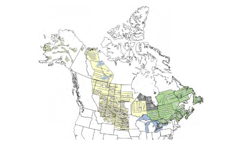 Waterfowl Breeding Population and Habitat Survey Map