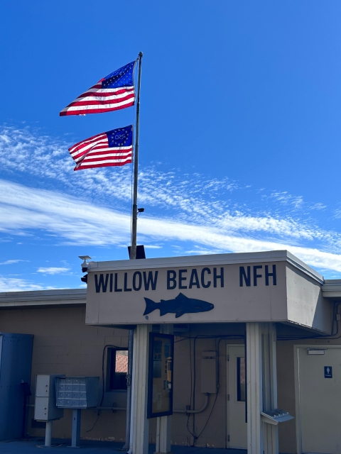 US flags fly from building with sign that reads Willow Beach NFH