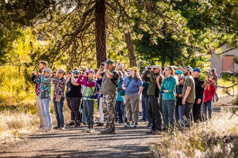 A group of birders on a guided bird walk