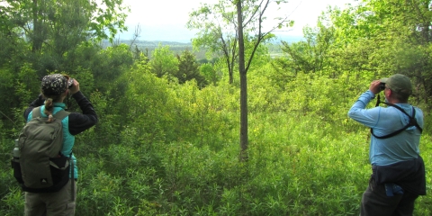 Two people stand with their backs to the camera, looking through binoculars. Low vegetation covers the foreground, and a mix of young trees and denser shrubs and trees fills the background.