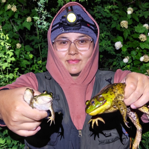 A young woman in glasses and stocking cap and a sweatshirt with hood pulled up holds up two handsful of large frogs while looking into the camera with a headlamp strapped to her head.