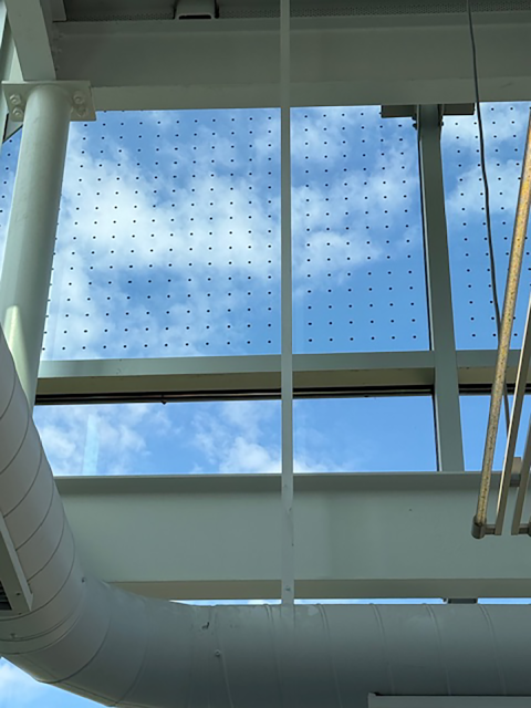 A treated window fitted with decals to deter birds from accidental collisions