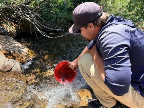 A man wearing a navy baseball cap crouches near a small creek to release fish from a red bucket