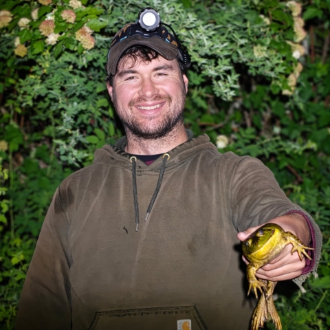 A smiling young man with partial beard, wearing a ballcap and cotton hoodie and a headlamp, holds out a large bullfrog.