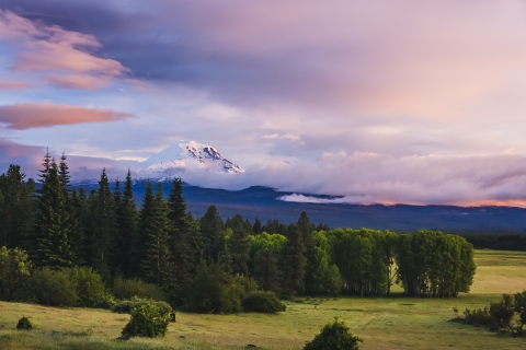 View of Mt. Adams from Conboy Lake National Refuge at Sunrise