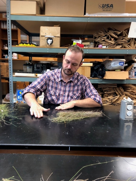Man sitting at a table sorting grass