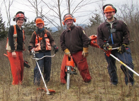 Four people looking at the camera holding field tools to restore habitat with dense shrubs and trees behind them. The people are wearing orange hard hats and earmuffs.