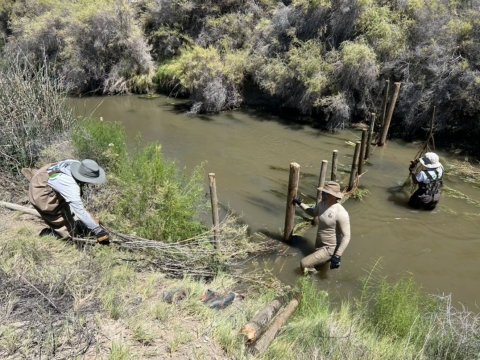 Three YCC staff building a weir at Stillwater NWR across a stream with flowing water waistline high. 