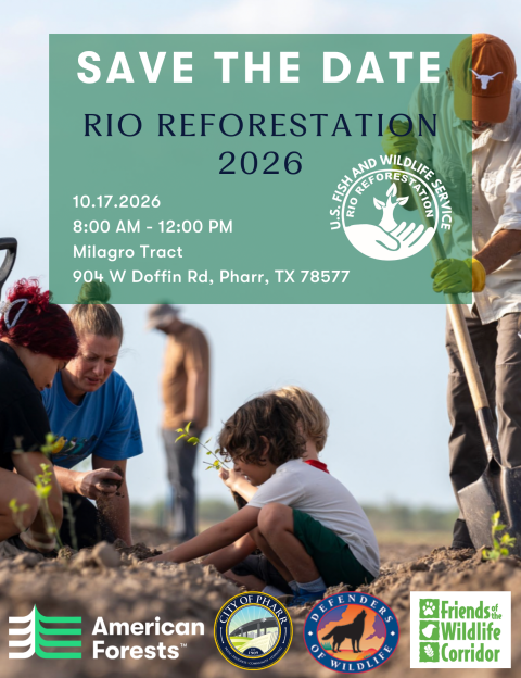 Save the Date information for Rio Reforestation
