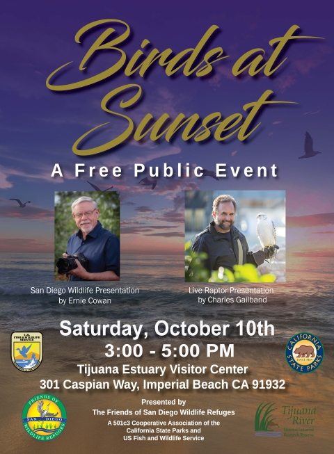 Flyer for “Birds at Sunset: A Free Public Event” featuring a sunset beach scene with flying birds. The event includes a San Diego wildlife presentation by Ernie Cowan and a live raptor presentation by Charles Gailband, with photos of Cowan holding a camera and Gailband holding a white raptor.