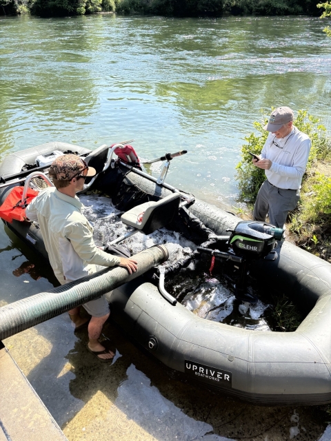 Fish are being loaded onto a raft for stocking in a river. 