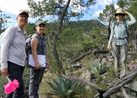 Three people stand to pose for the camera in the backcountry of a forested desert.