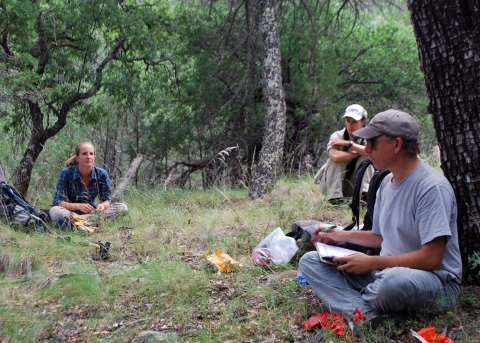 Three people sit underneath an open forest.