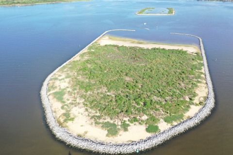 Vegetation established on Dickinson Bay Island 2 with Dickinson Bay Island 1 in the background.