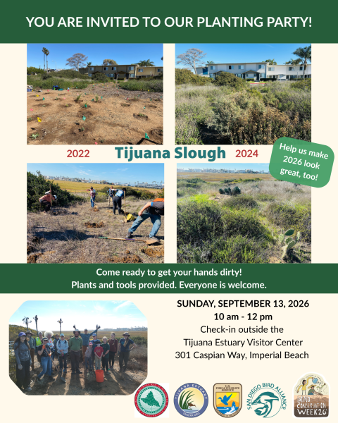 Flyer for a planting party on Sunday, September 13, 2026, from 10 a.m.–12 p.m. at the Tijuana Slough National Wildlife Refuge. Participants will check in outside the Tijuana Estuary Visitor Center in Imperial Beach. Photos show habitat restoration progress and volunteers planting native plants. Plants and tools provided; everyone is welcome.