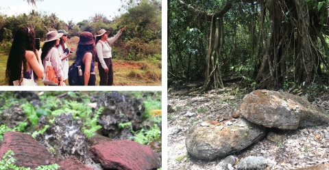 Ranger-led tours at Guam NWR offer visitors interpretation of cultural resources, such as latte stones and pottery sherds of Guam's indigenous people.