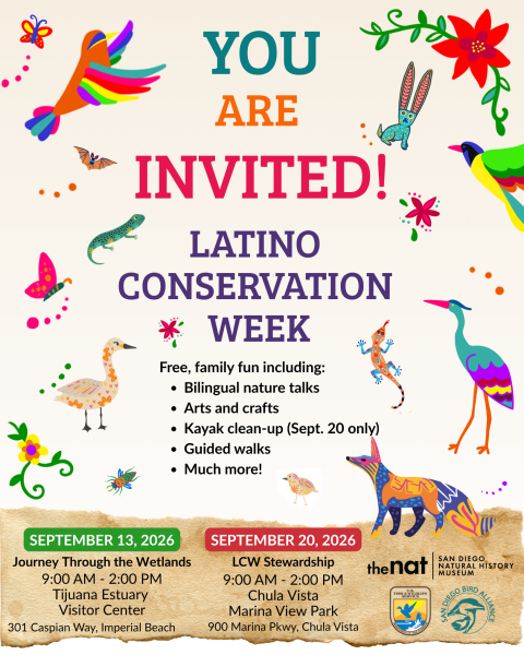 Promotional graphic inviting the public to two free Latino Conservation Week events on September 13 and 20, 2026, in Imperial Beach and Chula Vista featuring guided walks, arts and crafts, bilingual nature talks, and a kayak marsh cleanup.