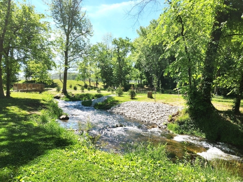 New trees planted to shade the stream