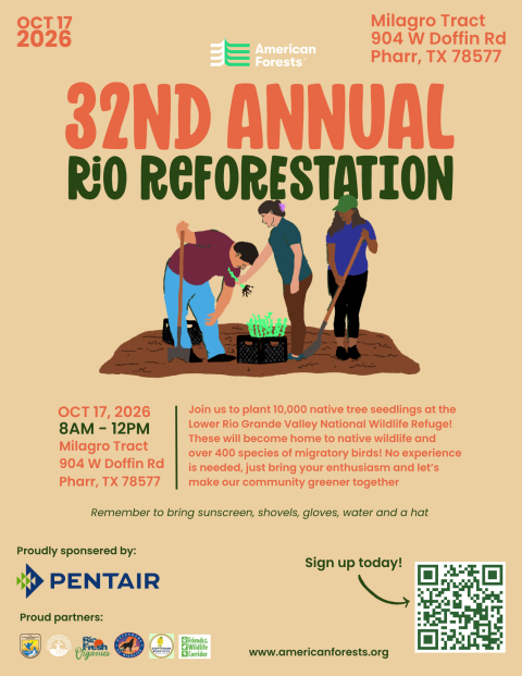 32 Annual Rio Reforestation Information