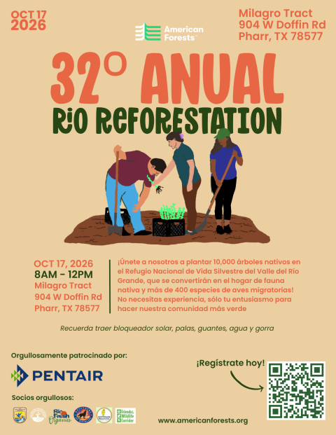 32 ANNUAL RIO rEFORESTATION SPANISH INFO