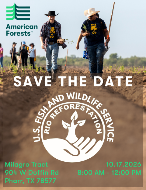 Save the Date for Rio Reforestaion