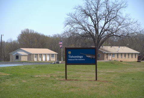 sign reads Tishomingo National Fish Hatchery with 2 buildings, flags in background