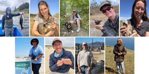 Montage of different people posing outdoors.