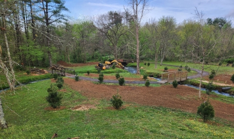 New Trees planted and working on retaining wall