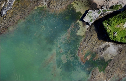 Aerial drone photo of eelgrass in Casco Bay, Maine.