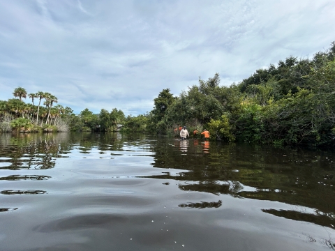 Saint Sebastian River