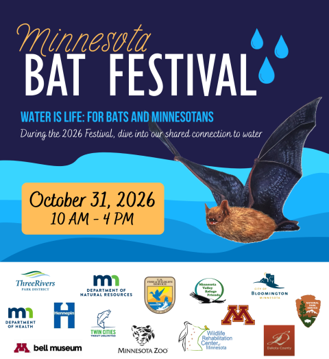 Minnesota Bat Festival Logos