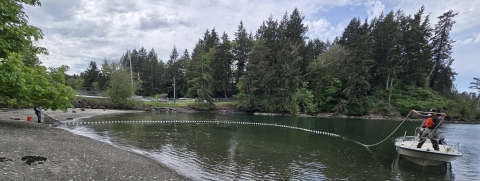 Service employee standing in a boat and deploying a net along the shoreline. Addison Emerson is holding the net on the shore. Shoreline, trees, and skyline in the background.