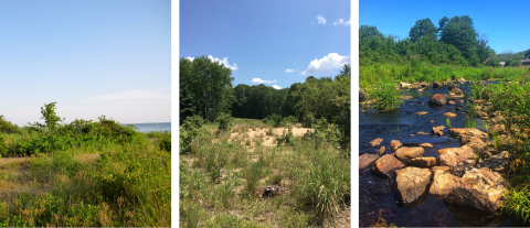 Three side-by-side images showing different habitat types: a coastal meadow, a sand plain, and a freshwater stream