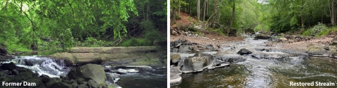Photos of former dam (left) and restored stream (right) at the Girl Scouts’ Camp Conowingo.
