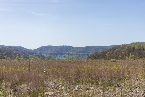 a landscape view of a grass field with mountains in the background under a clear blue sky