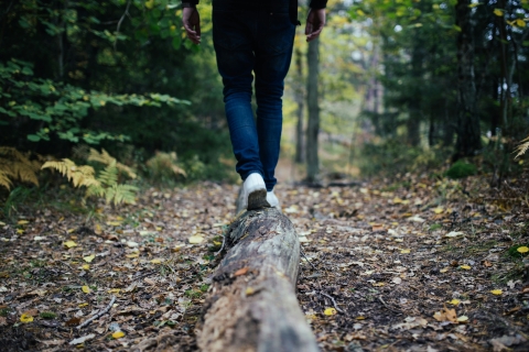 Hiker walking on a log along a forested trail.