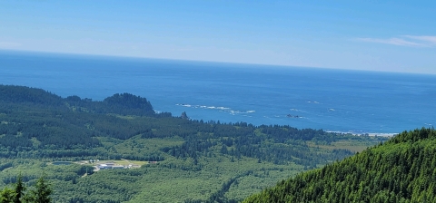 Coastal landscape with green forest, open fields, and blue ocean under a clear sky