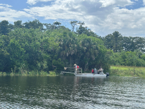 Seasonal Electrofishing Surveys